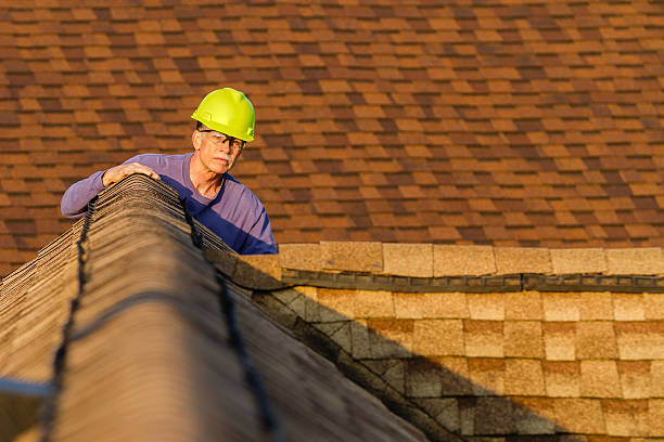 Best Roof Maintenance Services  in Arlington, WA