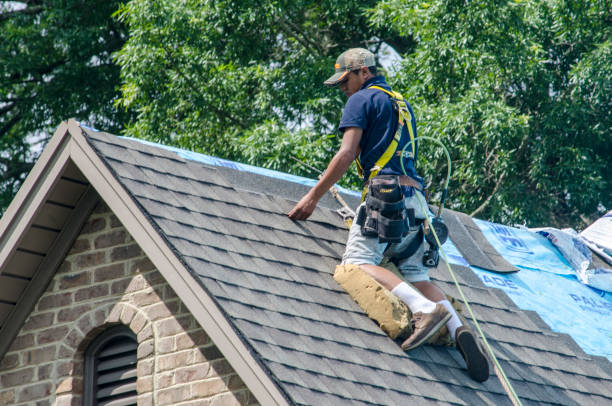 Best Gutter Installation and Roofing  in Arlington, WA